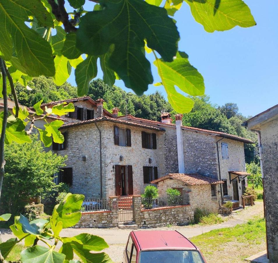 Cara House Tuscany - Zona Lucca Chiatri Exterior photo